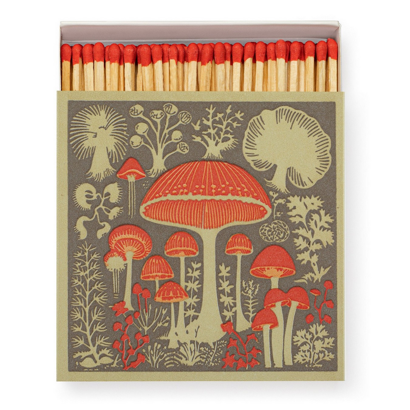 Medium Streichhölzer Mushroom Wow!