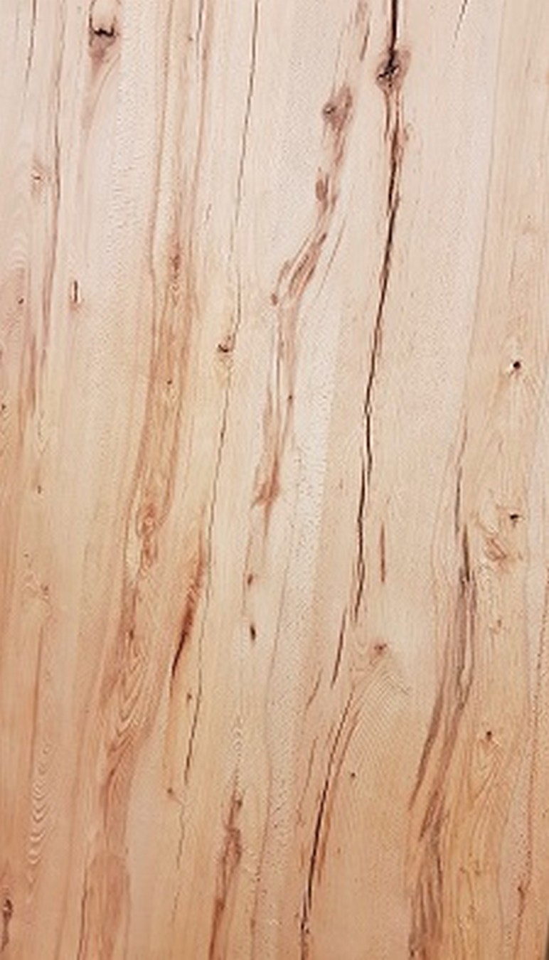 Tischplatte 3 cm Wildbuche massiv gerade Kante ab 60 cm konfigurierbar