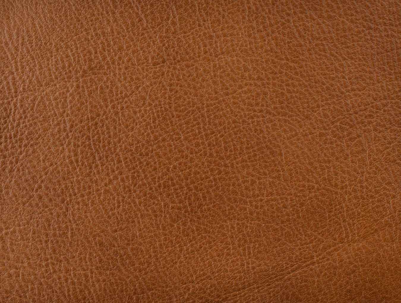 Stuhl Joni Leder cognac h 91 cm