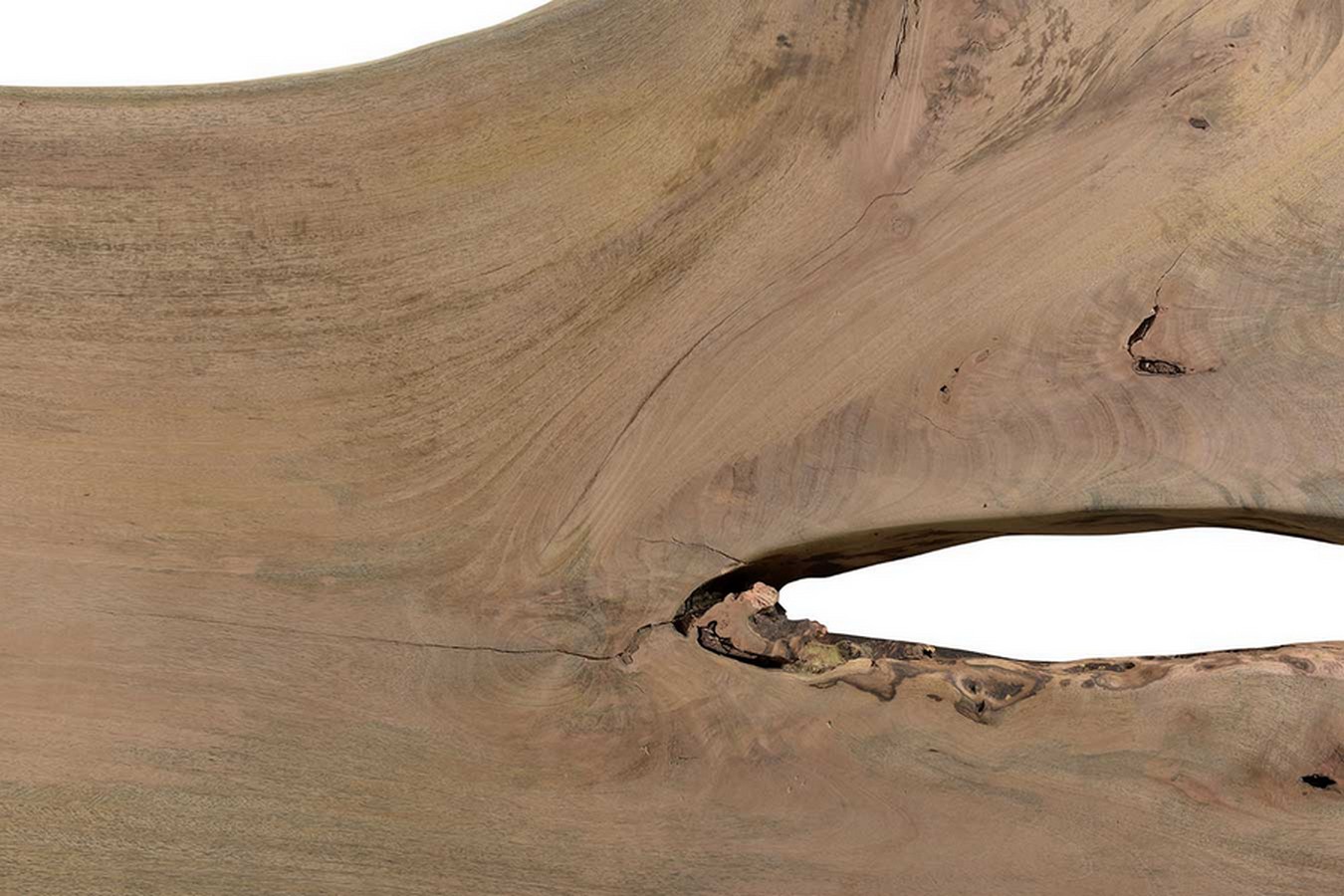 Tischplatte Monolith Mangoholz 360 cm