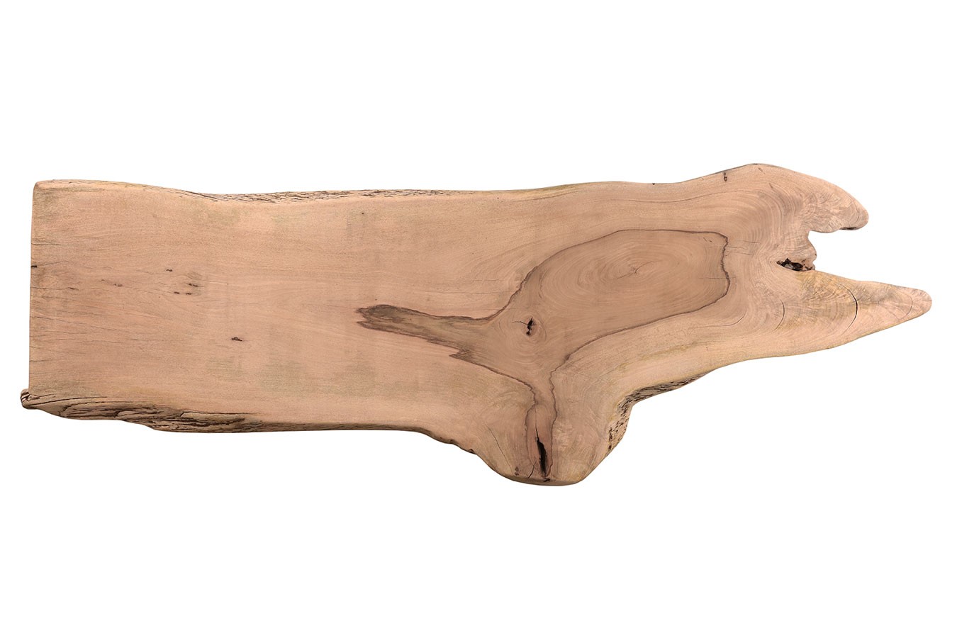 Mangoholz Monolith 342x117 cm