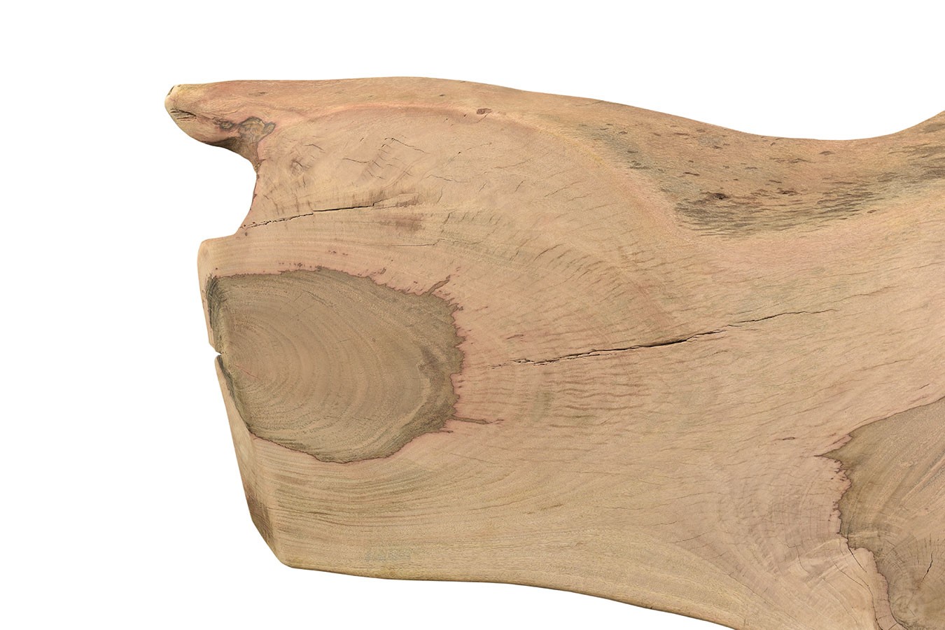 Tischplatte Mangoholz Monolith 287x110 cm