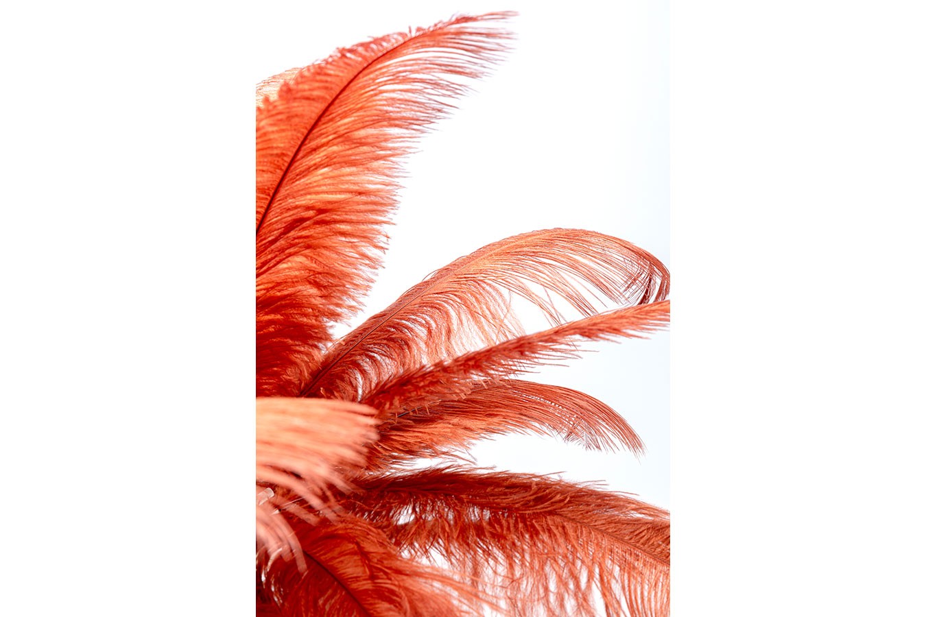 Tischlampe Feather Palm Rot