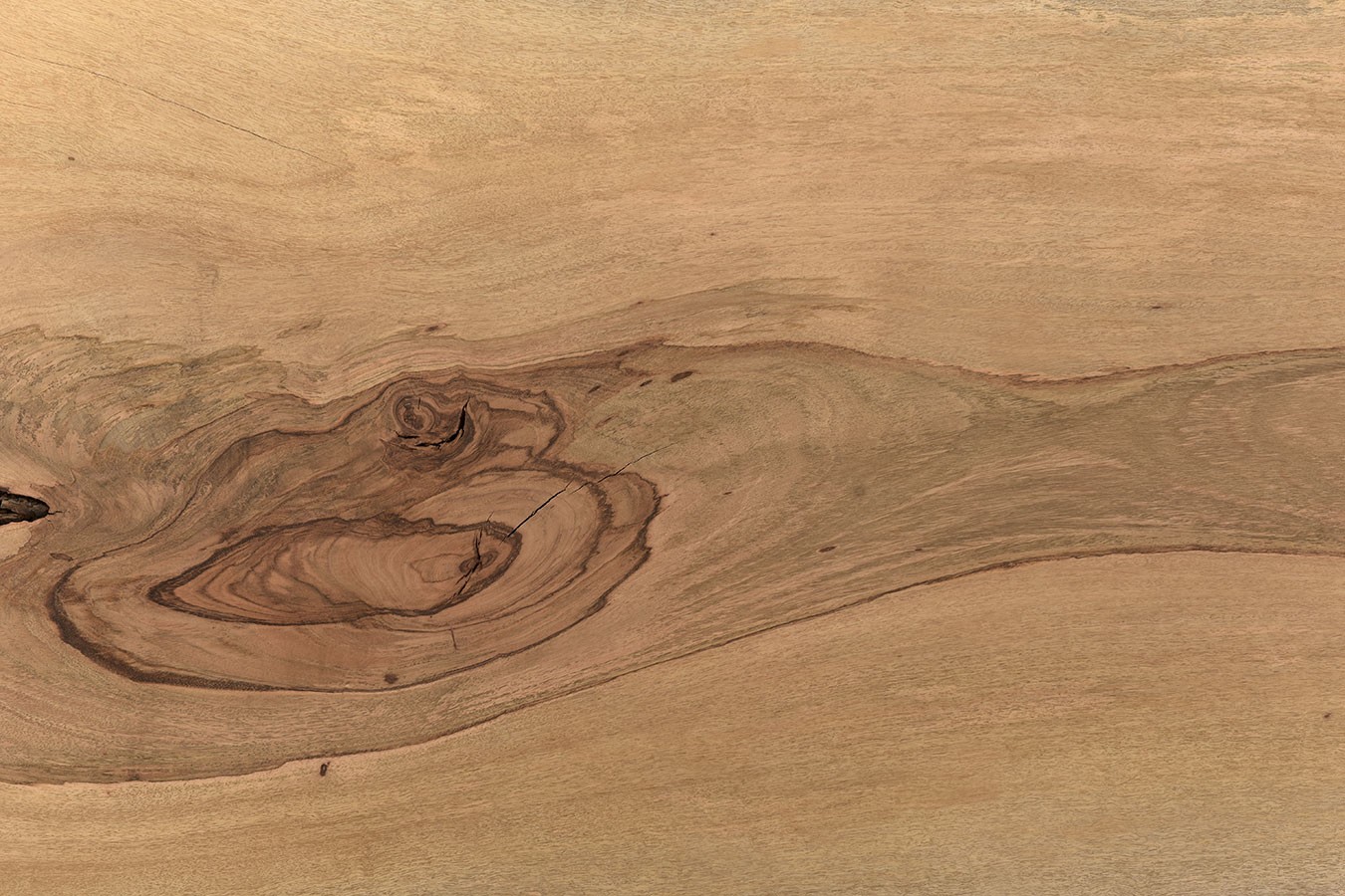 Tischplatte Mangoholz Monolith 260x105 cm