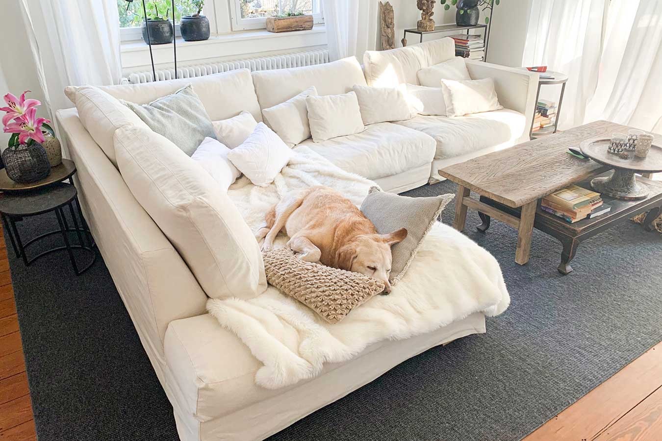 Sofakombination Heaven Stoff beige B 313 cm