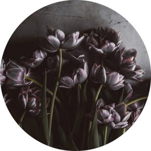 Kunstdruck _Dark Tulips_ Ø 110 cm